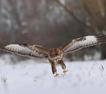 Hyggefarm Between North Sea And Baltic Sea Διαμέρισμα *