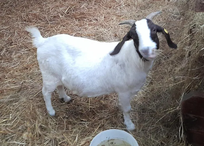 Apartment Hyggefarm Between North Sea And Baltic Sea